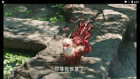 资阳影视无限制版