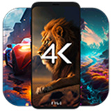 4KWallpapers下载  v5.0