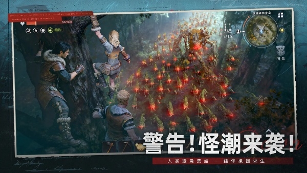 荒原曙光宠物技能搭配