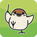 鸟之音游戏下载 v1.12.0