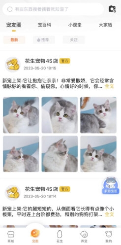 花生宠物1