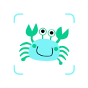 看鱼官方正版 2.8.1安卓版