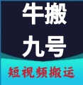 牛搬九号安卓版15.0 手机版