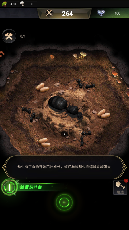 小小蚁国