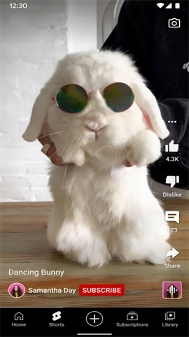 youtube最新版 v19.11.36