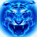 四虎影视v1.3.6