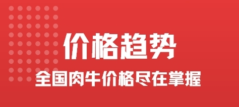 有牛图片2