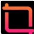 忘忧草视频中文字幕最新入口