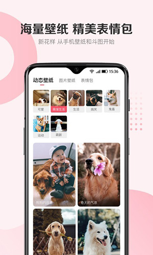68宠物官方版 v6.5.5