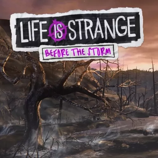 奇异人生暴风前夕安卓汉化版