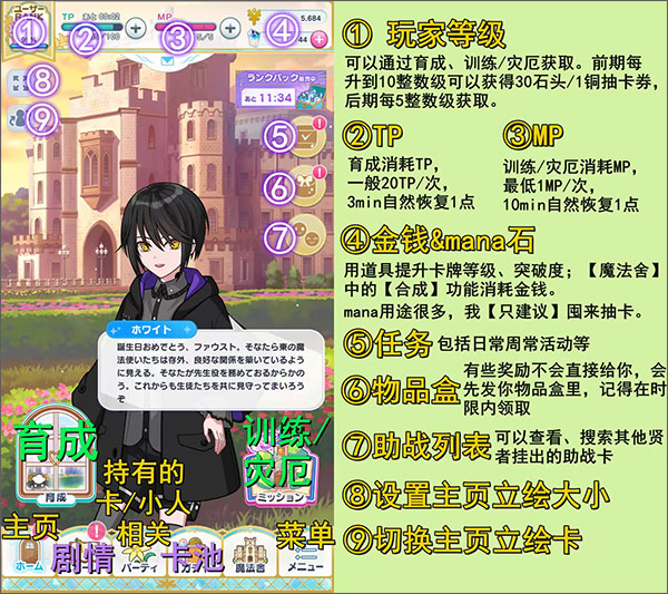 魔法使的约定