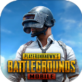 pubg国际服体验服呆呆直装版下载 v2.4.4