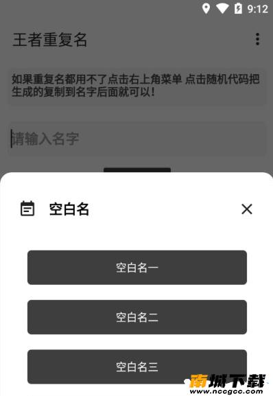 预览图2