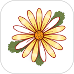 月经期记录 v1.2.28