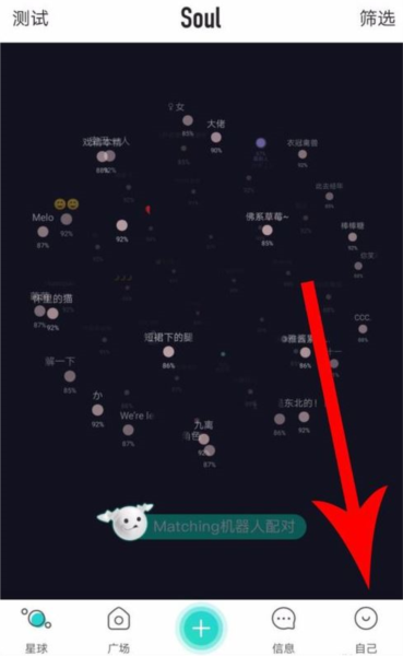 Soul图片4