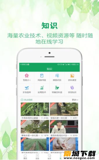 预览图2