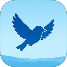 小鸟记事官方版