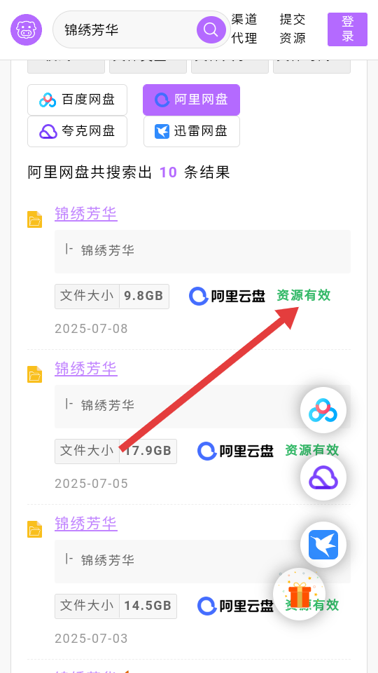 飞猪盘