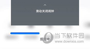 佐糖自动识别