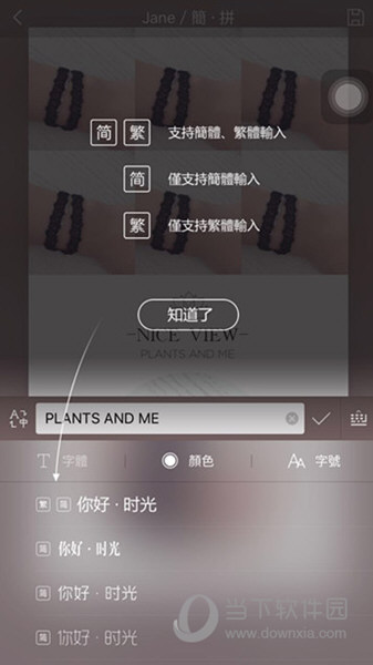 简拼APP下载