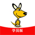 
                袋鼠学车
            