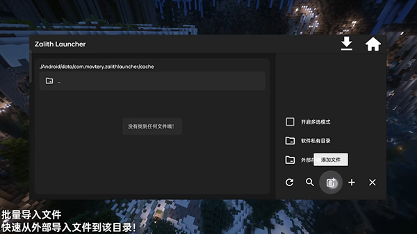 Zalith Launcher导入文件