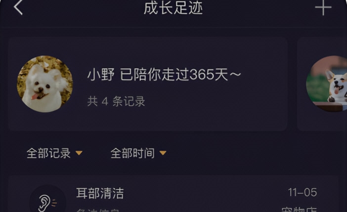 憨憨宠物