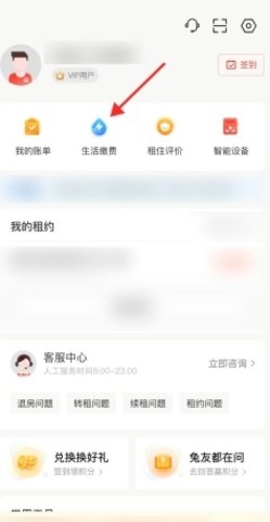 巴乐兔