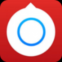 小决定转盘中文版下载