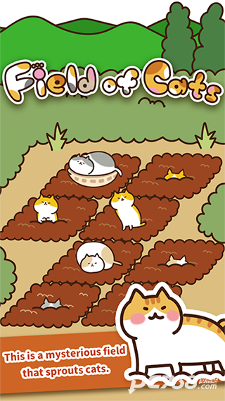 猫咪田园