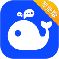 WorkPlusSE专业版
