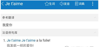 每日法语听力破解版如何查词4