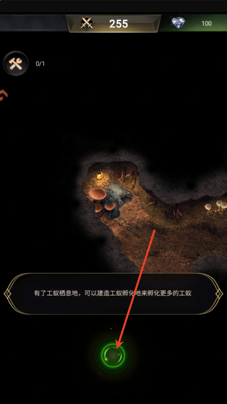 小小蚁国