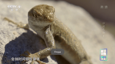 星火电视2024最新版下载截图