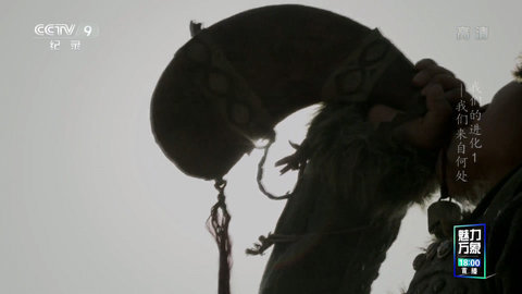 全球电视app下载截图