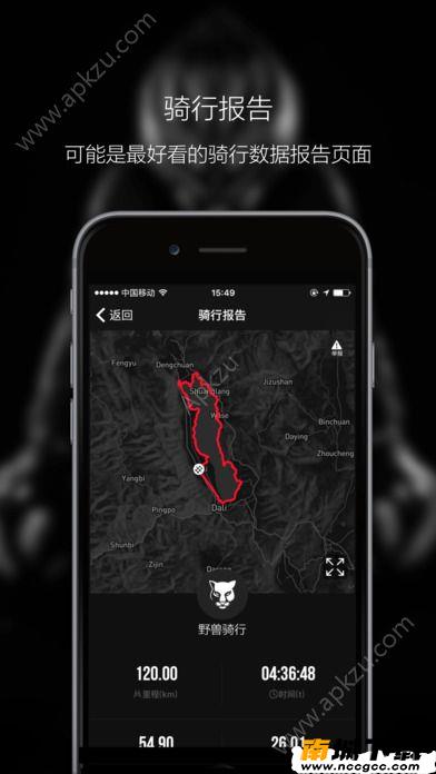 预览图2