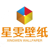 星雯壁纸手机版v1.0.0 安卓版