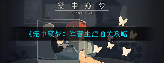 笼中窥梦