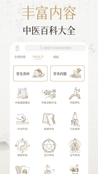 经络穴位3D4