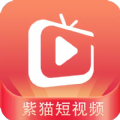 紫猫短视频下载app