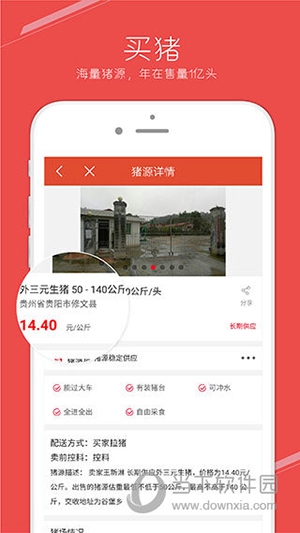 国家生猪市场2