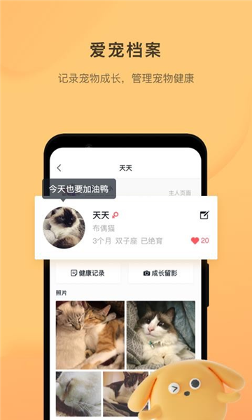 宠明4