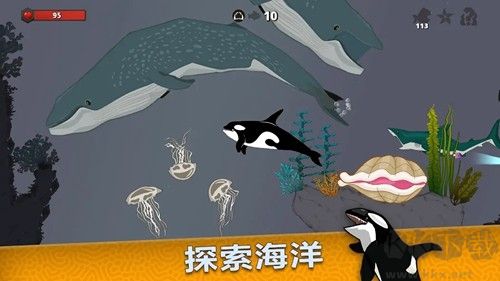 皇家鱼免费最新版 v4.4.1安卓版 