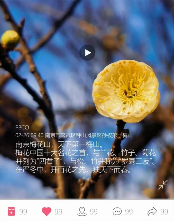 思窝