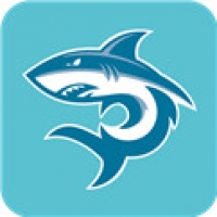 鲨鱼影视2024官方版下载