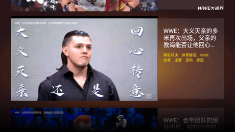 WWE大视界TV版
