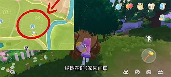 心动小镇11月19日溜溜橡木和无暇荧石采集位置在哪2