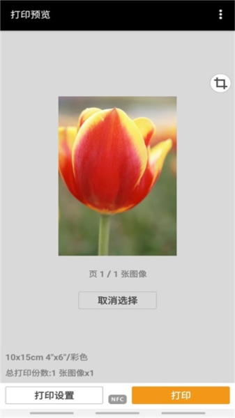 Canon PRINT APP