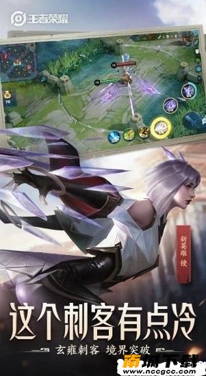 预览图2