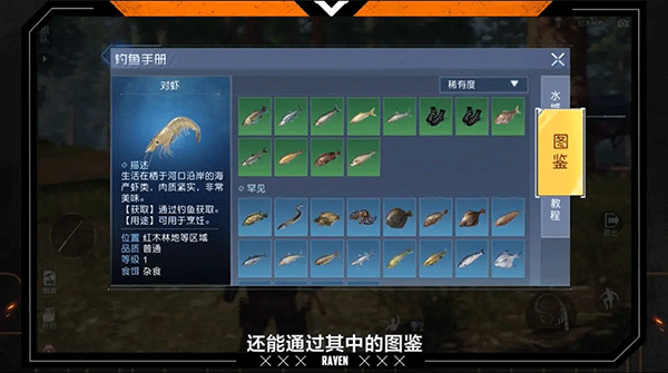 黎明觉醒:生机